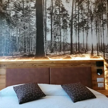 Albergo Silvana Pieve Di Ledro Exterior photo