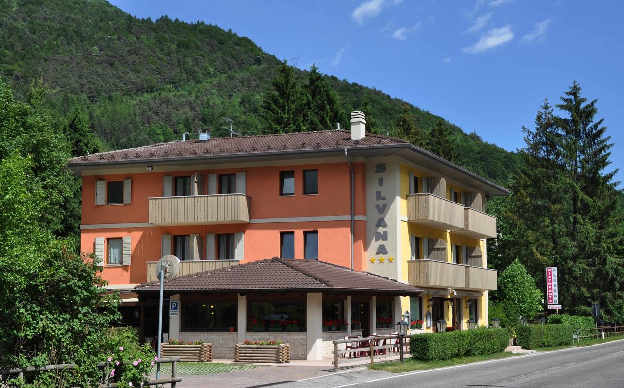 Hotel Silvana 3*
