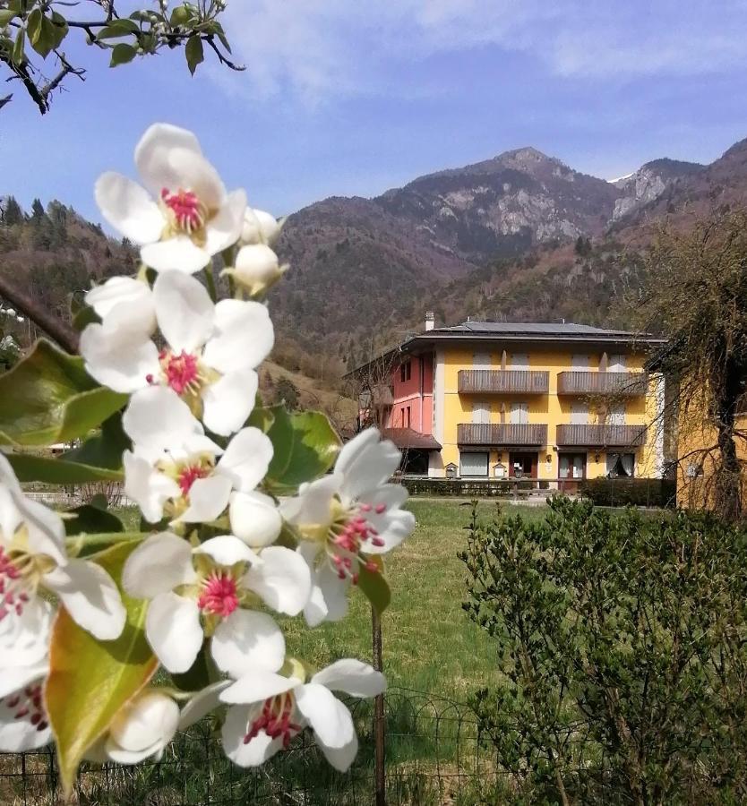 Hotel Silvana
